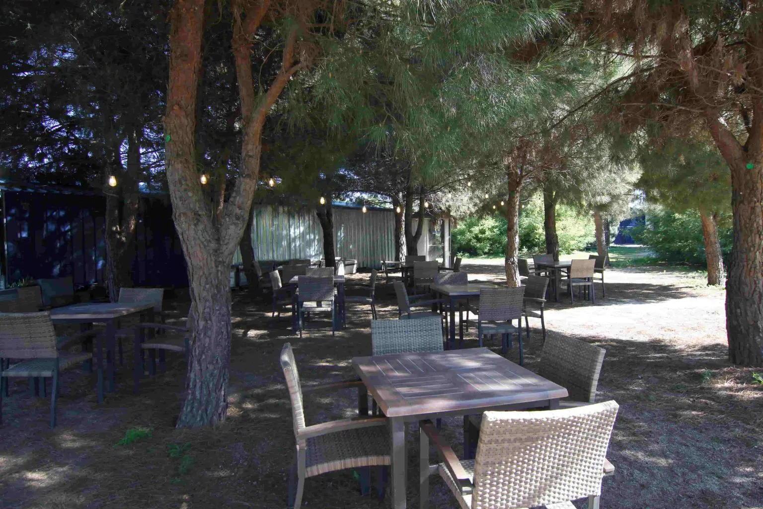 PINAR MESAS 3 scaled