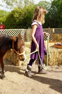 Imagen de WhatsApp 2024 08 21 a las 08.00.43 37999444