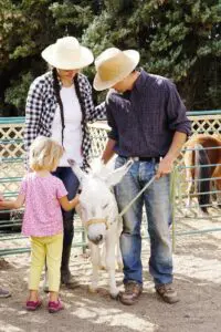 Imagen de WhatsApp 2024 08 21 a las 08.01.33 5c55b58f