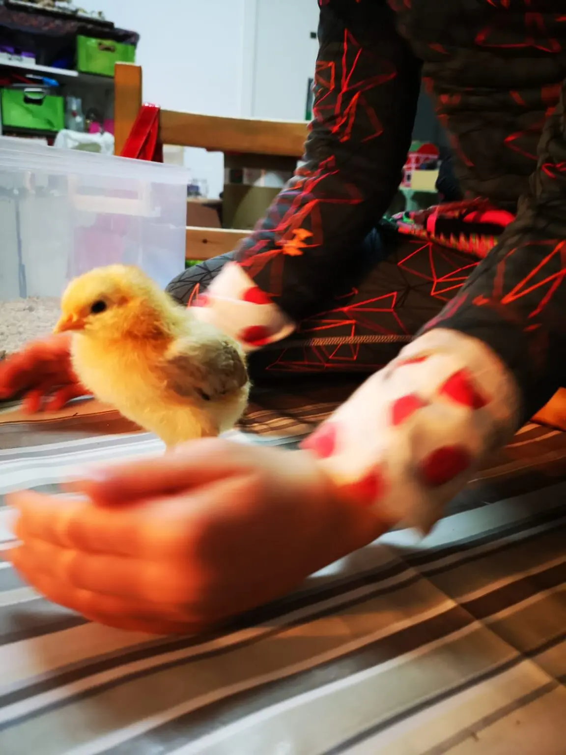 WhatsApp Image 2024 08 18 at 11.13.26 1