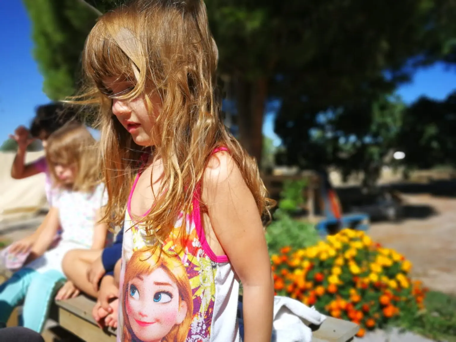 WhatsApp Image 2024 08 18 at 11.13.26