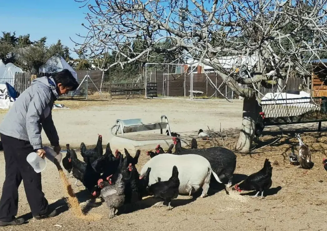 WhatsApp Image 2024 04 09 at 12.00.13