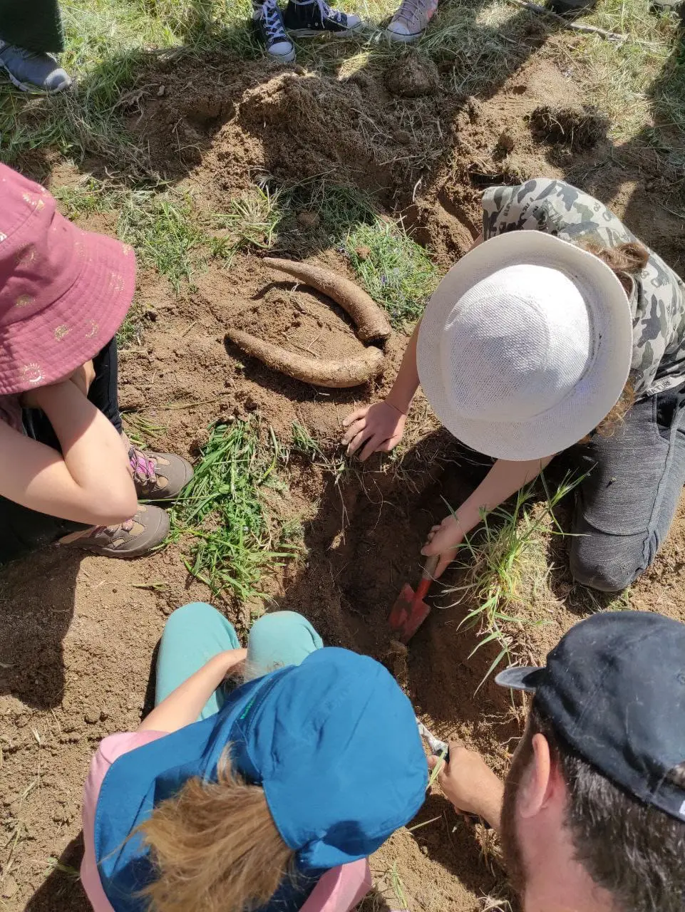 WhatsApp Image 2024 06 08 at 19.29.55 1