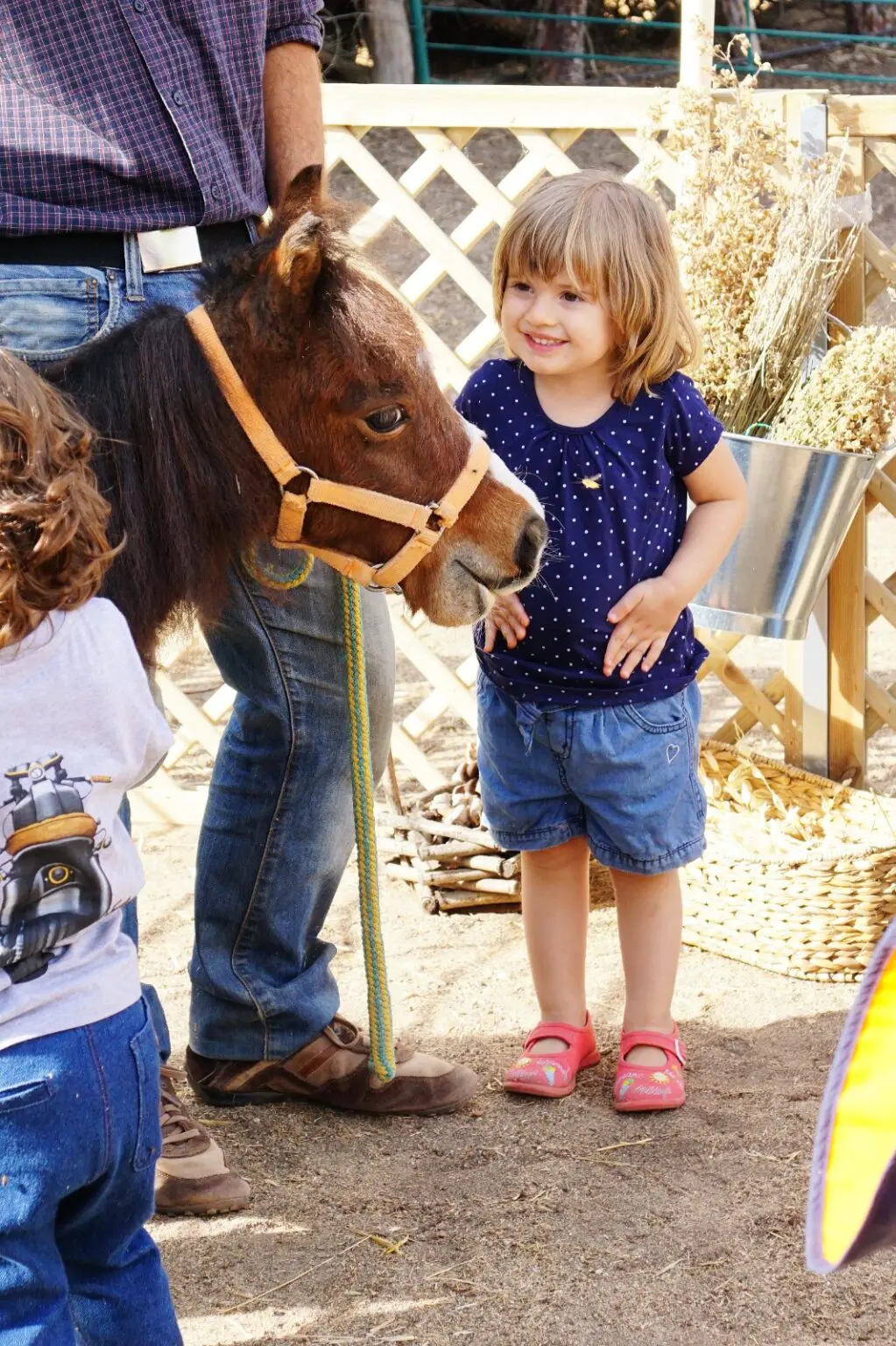 WhatsApp Image 2024 08 21 at 08.10.35