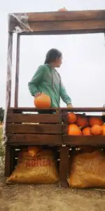 WhatsApp Image 2024 10 07 at 05.36.08