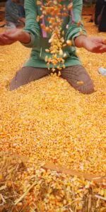 WhatsApp Image 2024 10 07 at 05.38.50