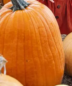 baby 7463137 1280 e1758002962956