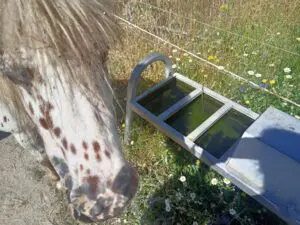 WhatsApp Image 2024 11 09 at 17.34.21 5