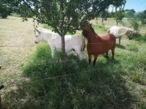 WhatsApp Image 2025 01 08 at 22.55.53