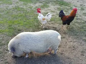 WhatsApp Image 2025 01 08 at 22.56.05