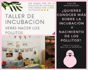 WhatsApp Image 2025 01 19 at 20.44.21 1