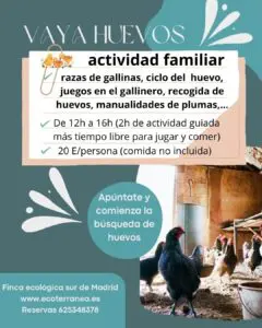 actividad familiar