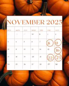 Copia de Orange Brown Pumpkins October Calendar Instagram Post 1