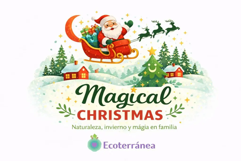 ChatGPT Image 29 dic 2025 11 53 36