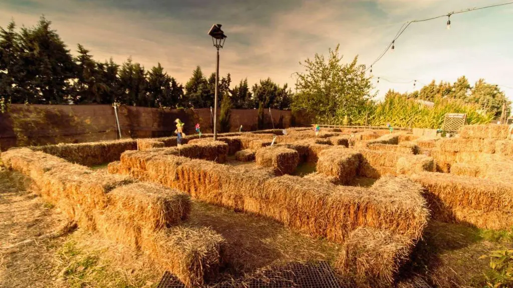 Ecoturismo en Espana experiencias en la naturaleza para toda la familia 1024x576