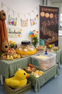 WhatsApp Image 2026 03 16 at 14.10.33