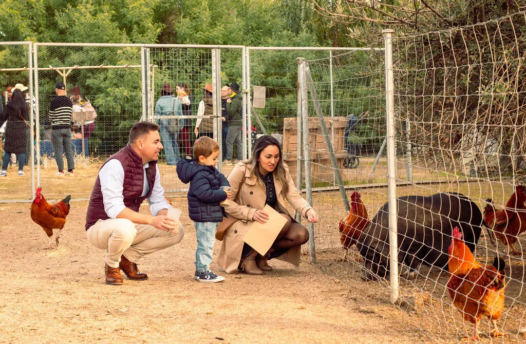 Familia dando de comer a las gallinas