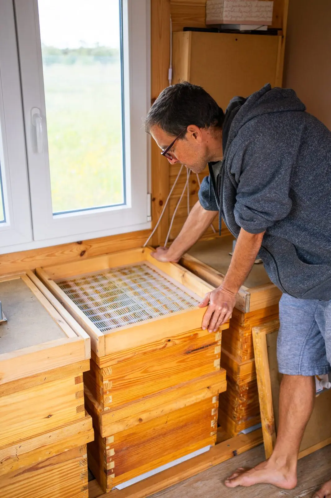 Apicultor de Ecoterránea revisando una colmena junto a la ventana