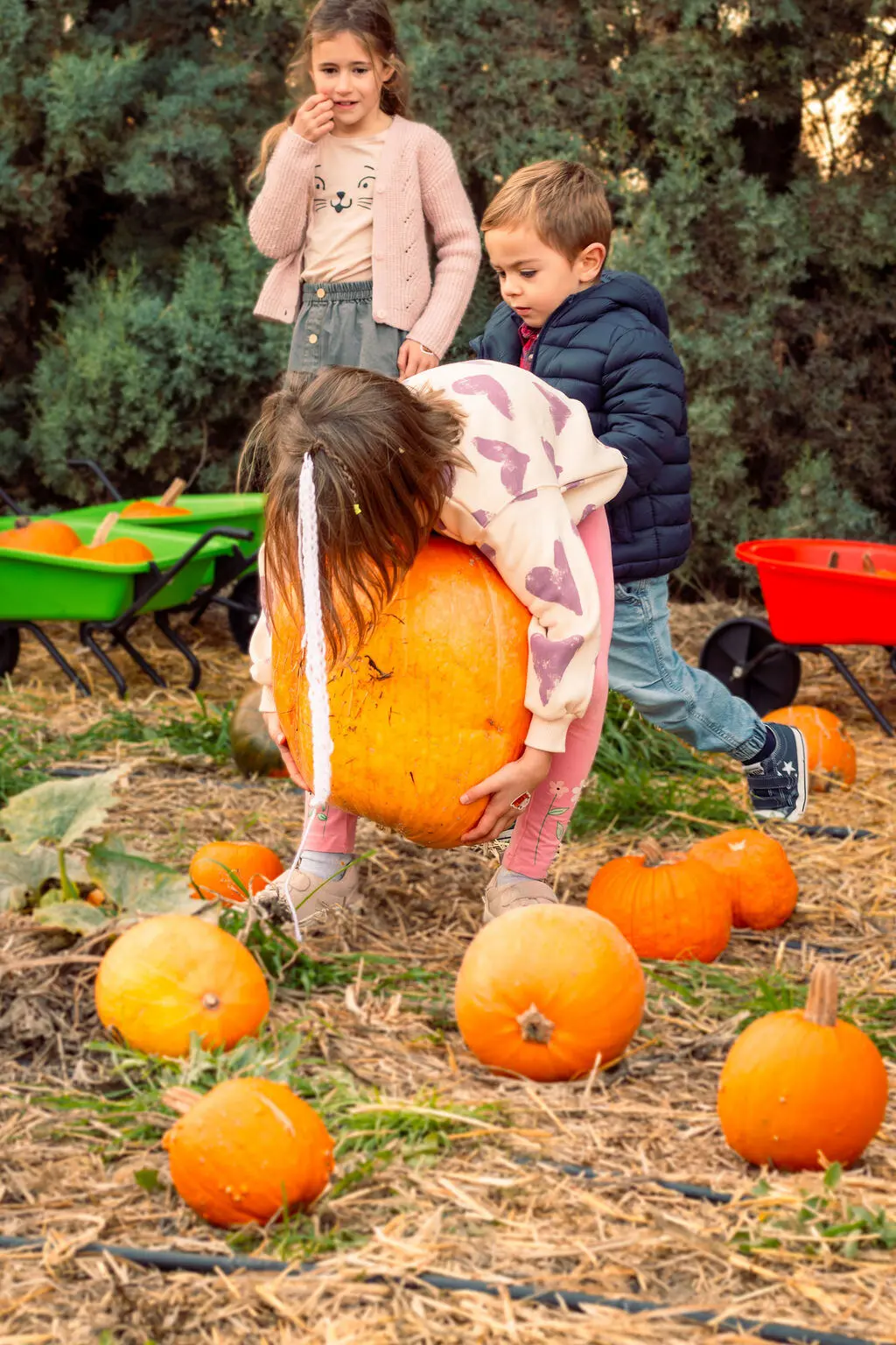 Niñ@s levantando una calabaza gigante
