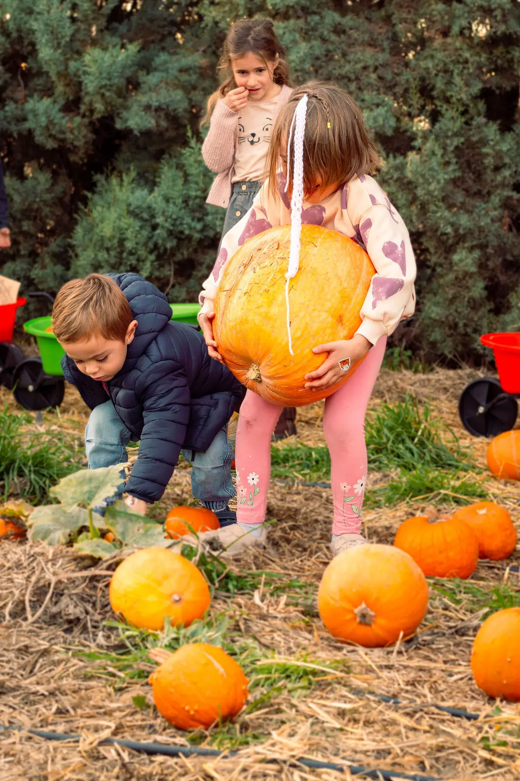 Niñ@s con una calabaza gigante