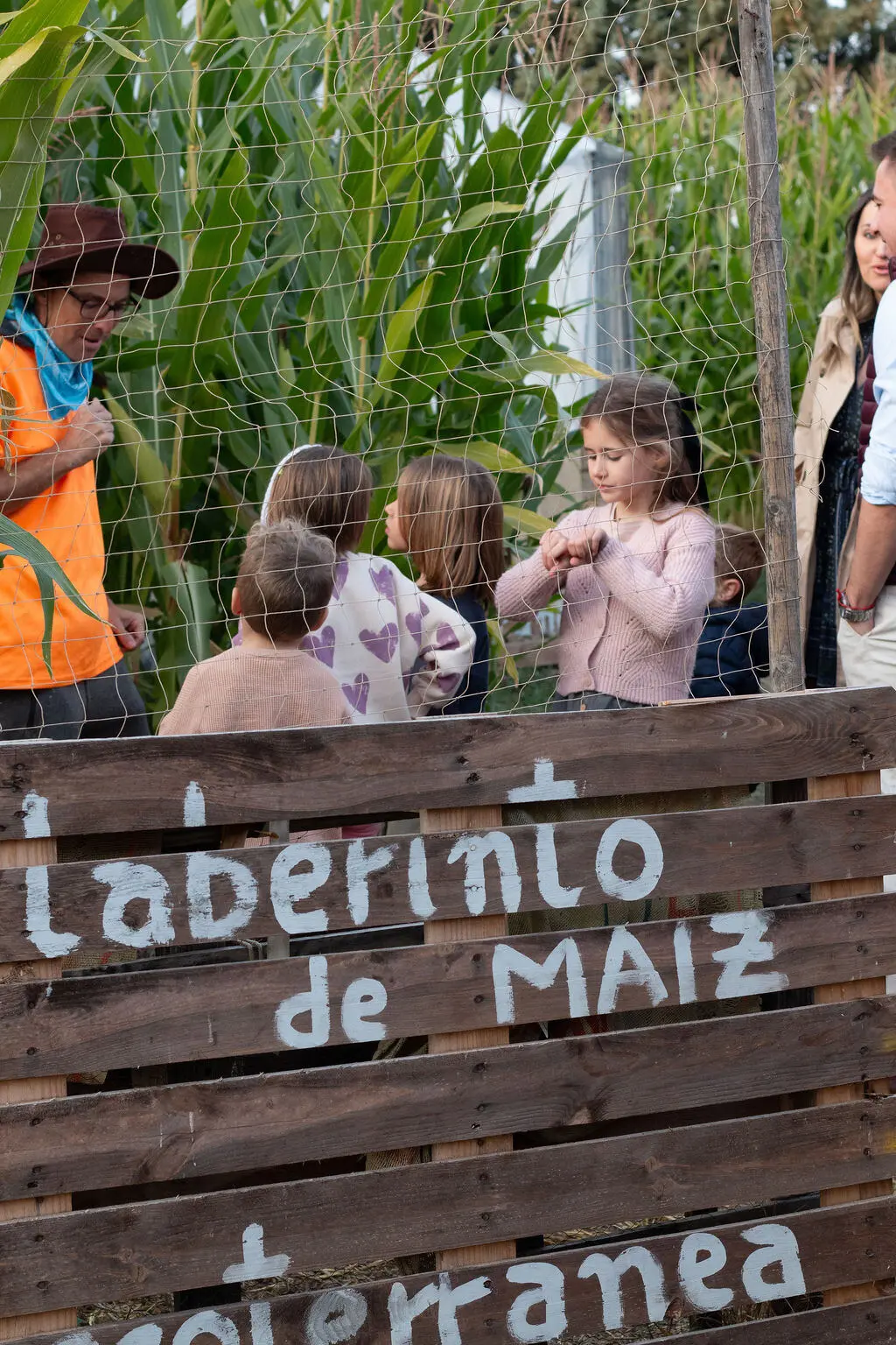 Cartel del laberinto de maíz