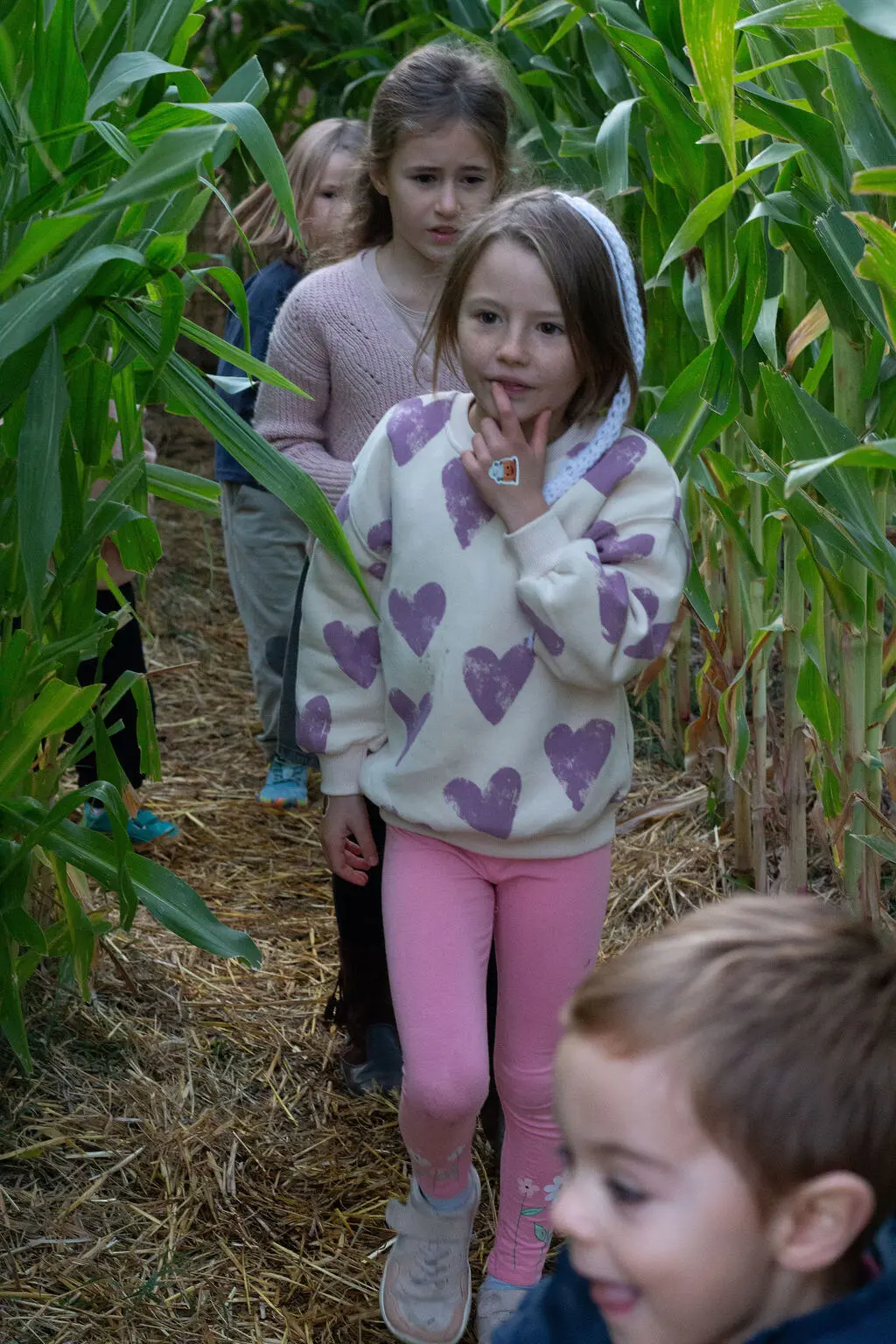 Niña en el laberinto de maíz