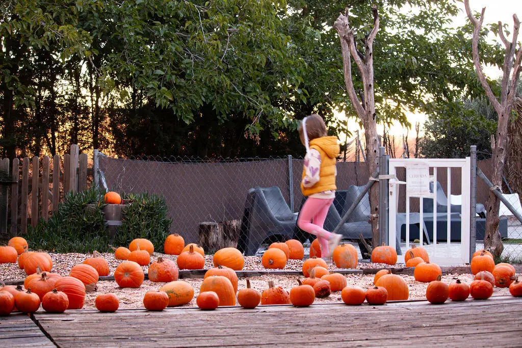 Niña corriendo entre calabazas al atardecer