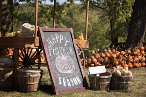 pumpkin-patch-2873348_1280