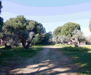 entrada